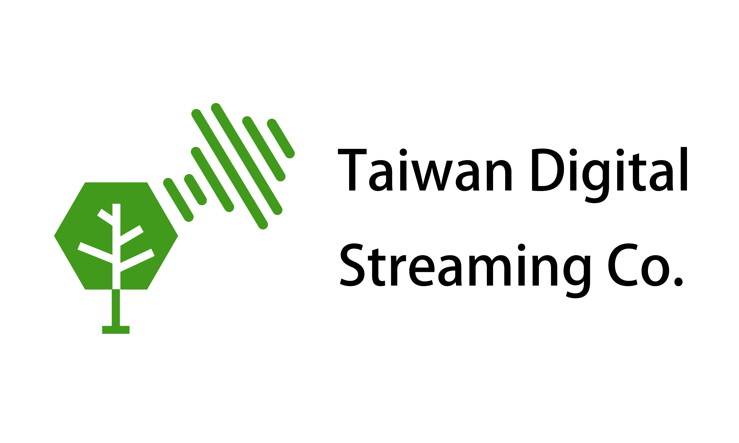 Taiwan Digital Streaming Co. logo